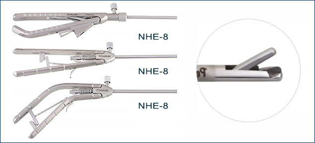 NHE-8